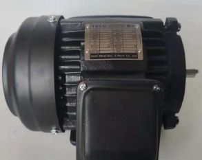 永磁电机 DVEX  75KW  3000RPM  F#200L IE4效率电机
