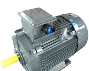 AEEV1H132M-6 5.5KW  AEEV2N机型 可代替YE2-132M-6 5.5KW 卧式